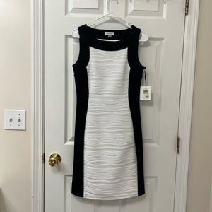 Black/White Calvin Klein Dress